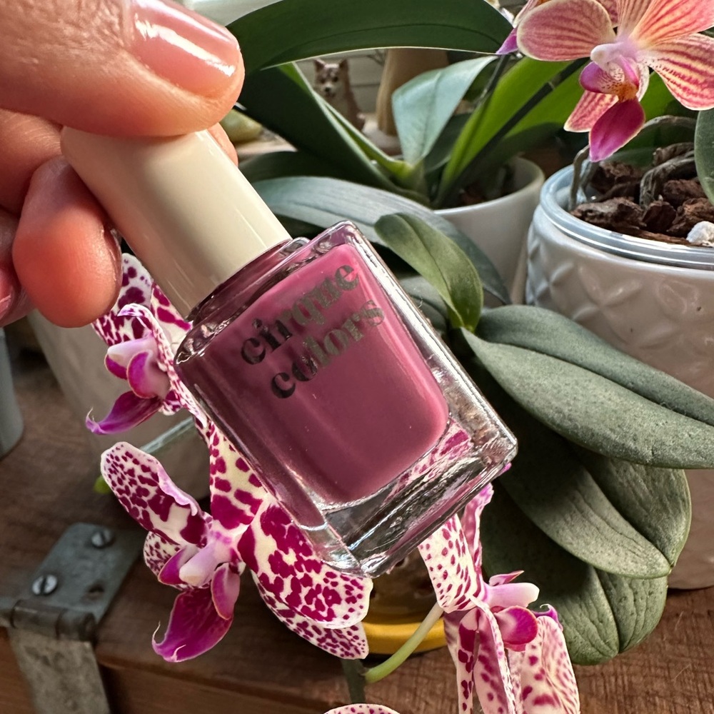 Cirque Colors Nail Lacquer Polish in Masala Jelly